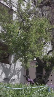 Bu dikey borsa videosu Ukrayna 'daki savaşın sonucunu gösteriyor. Borodyanka, Bucha bölgesindeki harap olmuş bir bina. Gri, renksiz, düz.