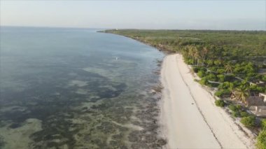 Bu stok video 8K çözünürlükte Tanzanya 'nın Zanzibar adasındaki plajın havadan görüntüsünü gösteriyor.