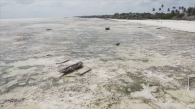 Bu stok video 8K çözünürlükte Tanzanya 'nın Zanzibar adasındaki plajın havadan görüntüsünü gösteriyor.