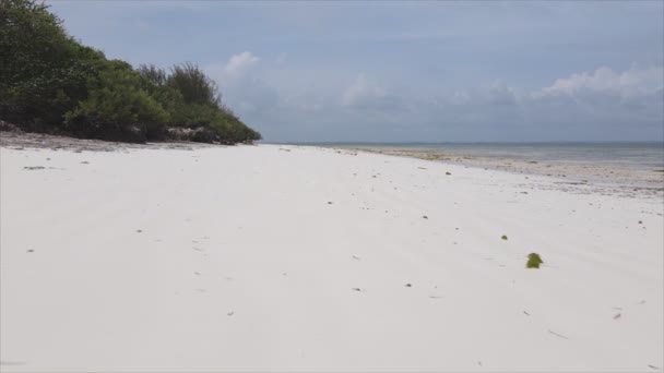 Видео Показывает Вид Воздуха Пляж Острове Занзибар Танзания Разрешении — стоковое видео
