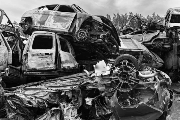 Stock Black White Photo Shows Dump Shot Burned Cars Irpin — Stockfoto