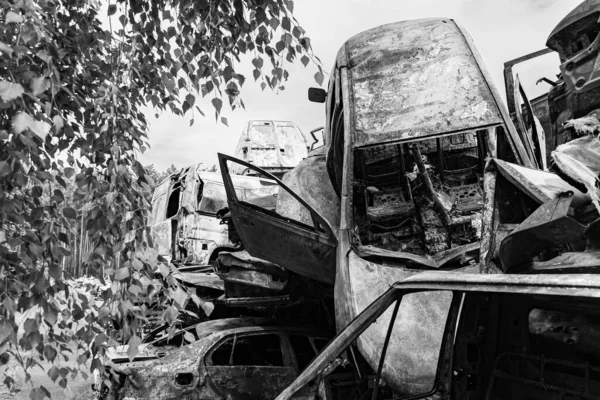 Stock Black White Photo Shows Dump Shot Burned Cars Irpin — Stock fotografie