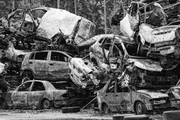 Stock Black White Photo Shows Dump Shot Burned Cars Irpin — Photo