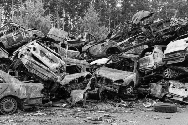 Stock Black White Photo Shows Dump Shot Burned Cars Irpin — Photo