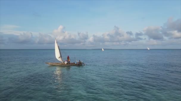 Stock Video Shows Boats Ocean Coast Zanzibar Resolution — Video