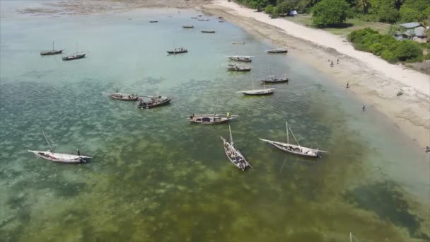 Stock Video Shows Boats Ocean Coast Zanzibar Resolution — Stok video