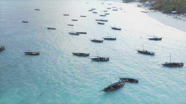 Stock Video Shows Boats Ocean Coast Zanzibar Resolution — Video