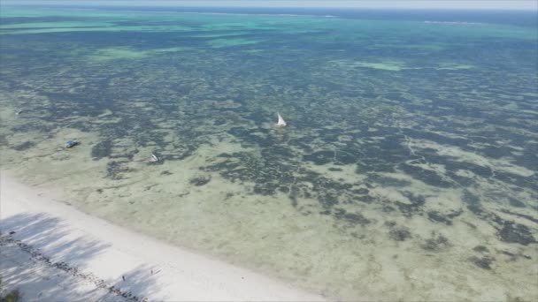 Stock Video Shows Boats Ocean Coast Zanzibar Resolution — Αρχείο Βίντεο