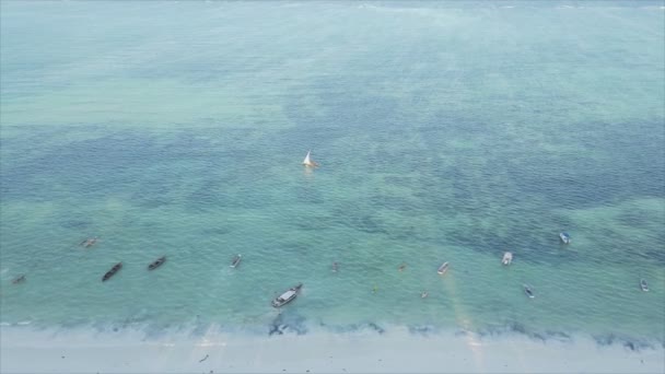 Stock Video Shows Boats Ocean Coast Zanzibar Resolution — Wideo stockowe