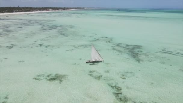 Stock Video Shows Boats Ocean Coast Zanzibar Resolution — Stockvideo