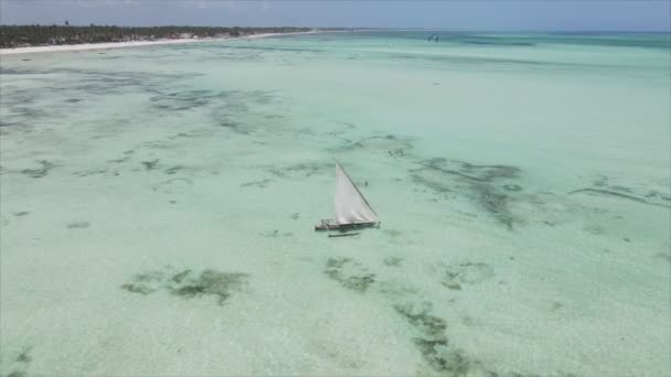 Stock Video Shows Boats Ocean Coast Zanzibar Resolution — ストック動画