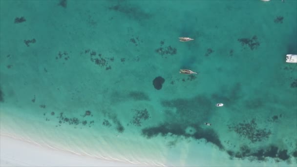 Stock Video Shows Boats Ocean Coast Zanzibar Resolution — Vídeo de Stock