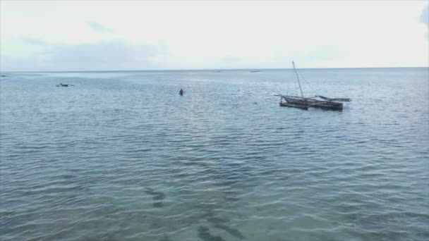Stock Video Shows Boats Ocean Coast Zanzibar Resolution — Stock videók