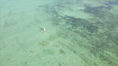 This stock video shows boats in the ocean off the coast of Zanzibar in 8K resolution