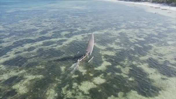 Acest Videoclip Arată Bărci Ocean Largul Coastei Zanzibar Rezoluție — Videoclip de stoc