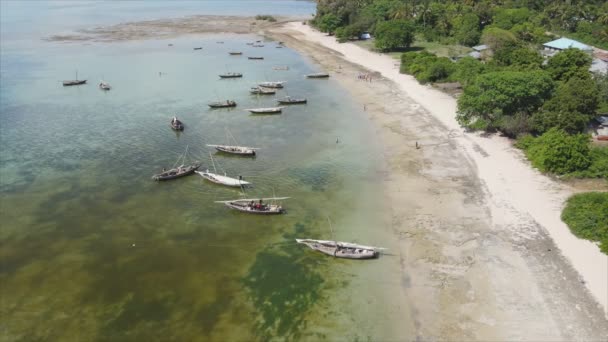 Цьому Відео Показано Човни Океані Біля Узбережжя Занзібару Роздільною Здатністю — стокове відео