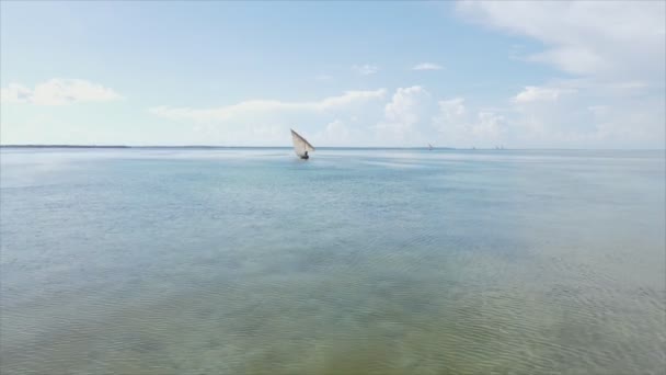 Video Çözünürlükte Zanzibar Açıklarında Okyanustaki Tekneleri Gösteriyor — Stok video