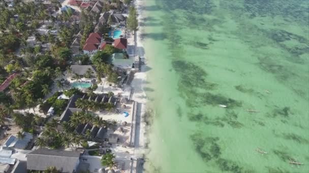 Stock Video Shows Boats Ocean Coast Zanzibar Resolution — Stok video