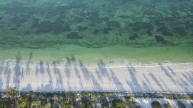 Bu video 8K çözünürlükte Zanzibar açıklarında okyanustaki tekneleri gösteriyor.