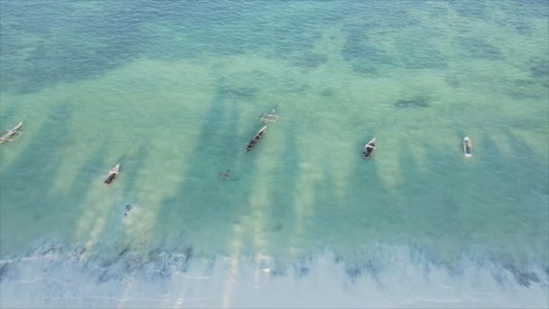 Stock Video Shows Boats Ocean Coast Zanzibar Resolution — Wideo stockowe