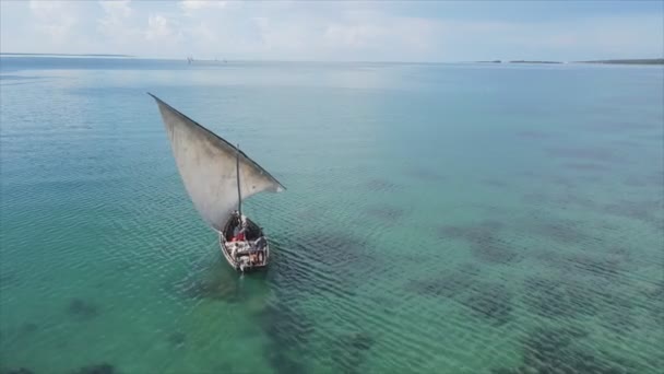 Stock Video Shows Boats Ocean Coast Zanzibar Resolution — Vídeo de stock