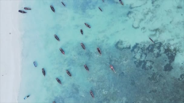 Stock Video Shows Boats Ocean Coast Zanzibar Resolution — Stock Video