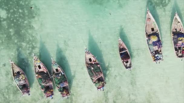 Stock Video Shows Boats Ocean Coast Zanzibar Resolution — Video