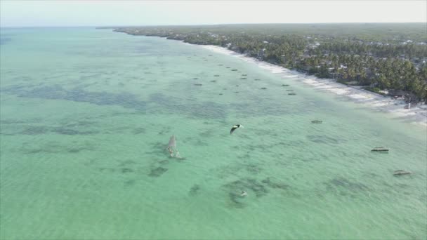 Stock Video Shows Boats Ocean Coast Zanzibar Resolution — Stock Video