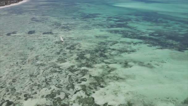 Deze Stockvideo Toont Boten Oceaan Voor Kust Van Zanzibar Resolutie — Stockvideo
