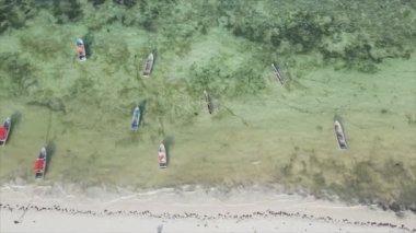 Bu video 8K çözünürlükte Zanzibar açıklarında okyanustaki tekneleri gösteriyor.