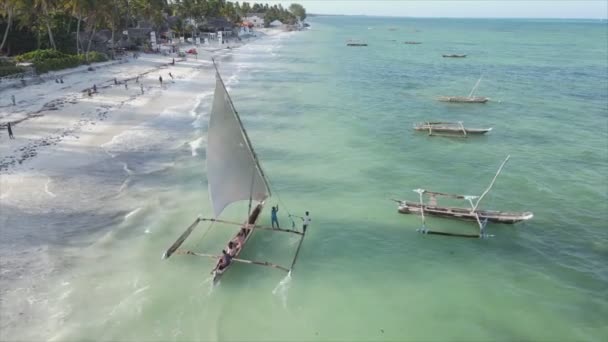 Stock Video Shows Boats Ocean Coast Zanzibar Resolution — Video