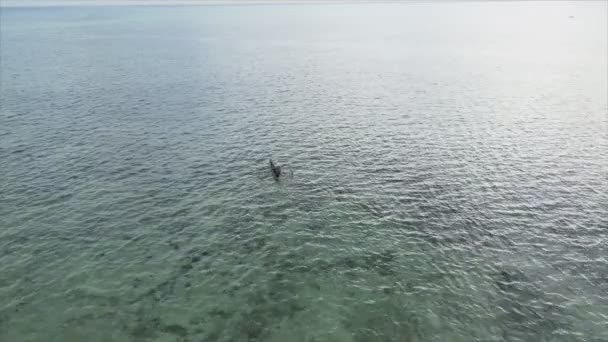 Nagranie Pokazuje Łodzie Oceanie Wybrzeży Zanzibaru Rozdzielczości — Wideo stockowe