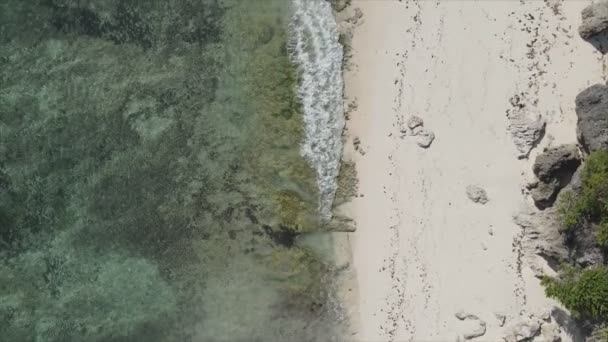 Відео Показує Порожній Пляж Острові Занзібар Танзанія Сповільнення Руху Роздільній — стокове відео