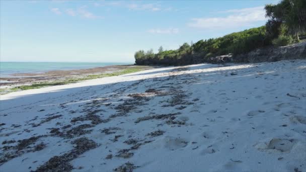 Stock Video Shows Empty Beach Island Zanzibar Tanzania Slow Motion — Stockvideo