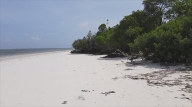 This stock video shows an empty beach on the island of Zanzibar, Tanzania, slow motion in 8K resolution