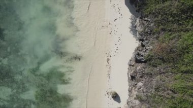 Bu video, Tanzanya 'nın Zanzibar adasında 8K çözünürlükte yavaş çekimde boş bir plajı gösteriyor.