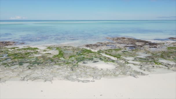 Stock Videó Egy Üres Strandot Mutat Zanzibar Szigetén Tanzániában Lassított — Stock videók