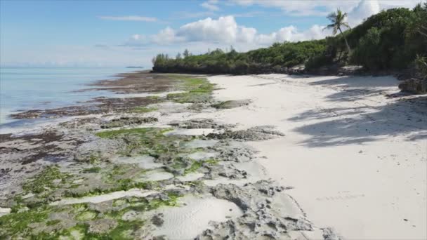 Stock Video Shows Empty Beach Island Zanzibar Tanzania Slow Motion — 비디오