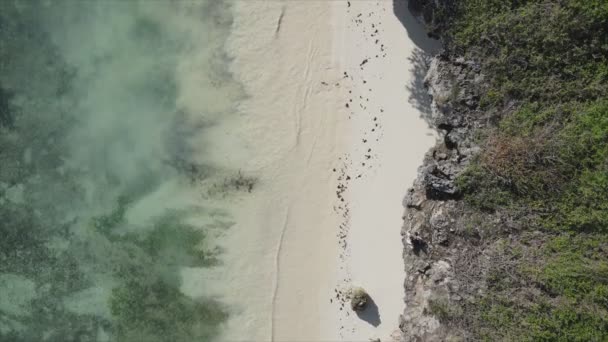 Toto Stock Video Ukazuje Prázdnou Pláž Ostrově Zanzibar Tanzanie Zpomalení — Stock video