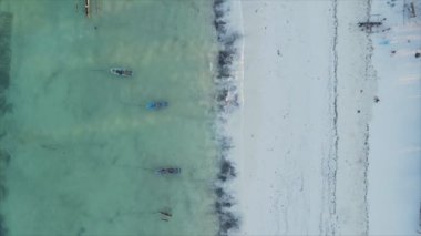 Bu video, Tanzanya 'nın Zanzibar adasında 8K çözünürlükte yavaş çekimde boş bir plajı gösteriyor.