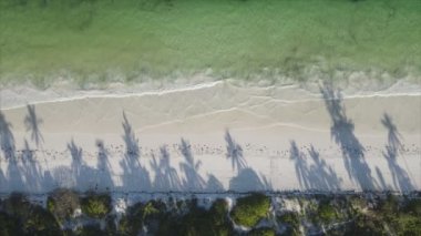 Bu video, Tanzanya 'nın Zanzibar adasında 8K çözünürlükte yavaş çekimde boş bir plajı gösteriyor.