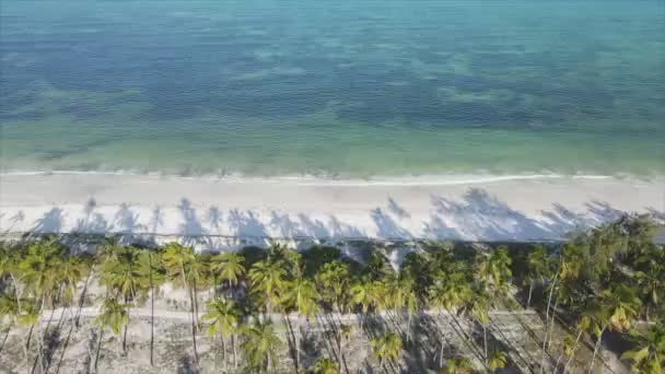 Stock Video Shows Empty Beach Island Zanzibar Tanzania Slow Motion — 图库视频影像