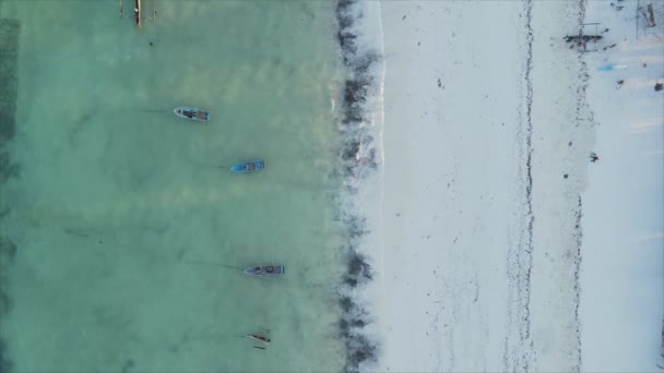 Stock Video Shows Empty Beach Island Zanzibar Tanzania Slow Motion — Stockvideo