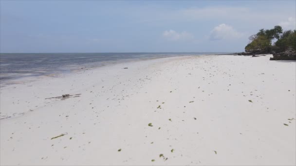 Stock Videó Egy Üres Strandot Mutat Zanzibar Szigetén Tanzániában Lassított — Stock videók