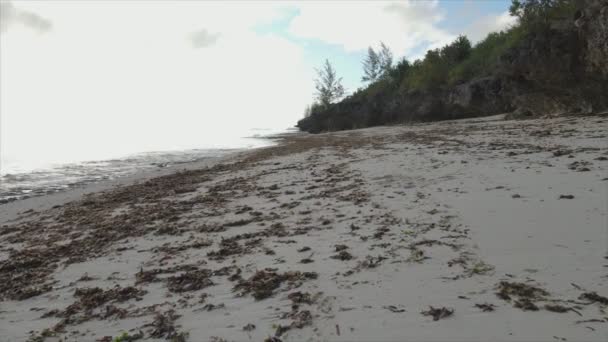 Stock Video Shows Empty Beach Island Zanzibar Tanzania Slow Motion — стоковое видео