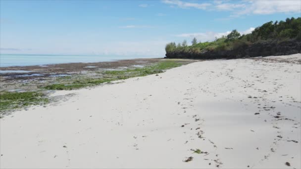 Stock Video Shows Empty Beach Island Zanzibar Tanzania Slow Motion — 비디오