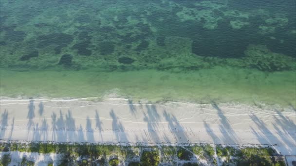 Stock Videó Egy Üres Strandot Mutat Zanzibar Szigetén Tanzániában Lassított — Stock videók