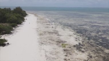 Bu video, Tanzanya 'nın Zanzibar adasında 8K çözünürlükte yavaş çekimde boş bir plajı gösteriyor.