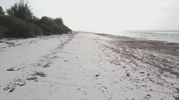 Stock Videó Egy Üres Strandot Mutat Zanzibar Szigetén Tanzániában Lassított — Stock videók