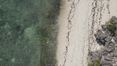 Bu video, Tanzanya 'nın Zanzibar adasında 8K çözünürlükte yavaş çekimde boş bir plajı gösteriyor.
